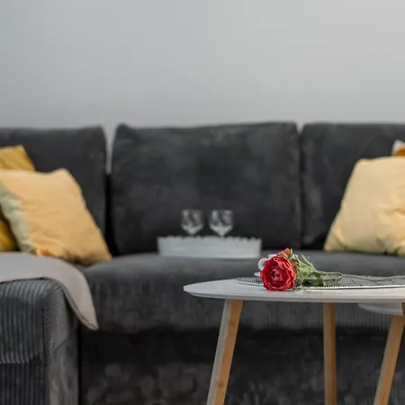 Nowy Apartment, Prestige, Wyjatkowy, Manufaktura, Parking * Lodz (Lodz)